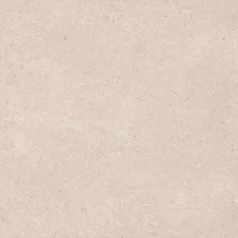 Coral Caliza L 120X120(A)