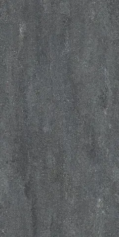 Керамогранит Про Нордик серый темный натуральный обрезной 60x119.5 DD505000R
