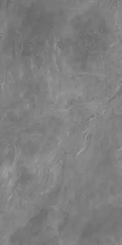 Керамогранит Про Слейт серый обрезной 60x119.5 DD504800R