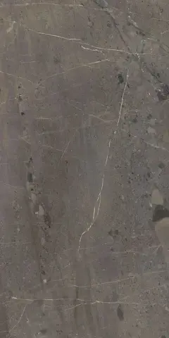 Марсель коричневый глянцевый обрезной 60x119,5 плитка