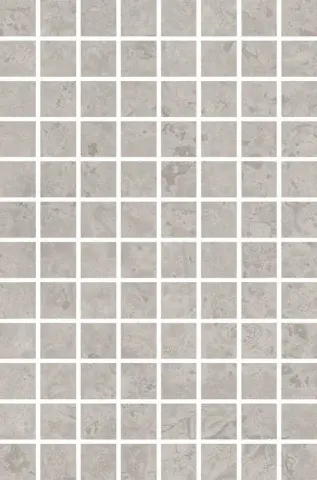 Ферони мозаичный серый матовый 20x30