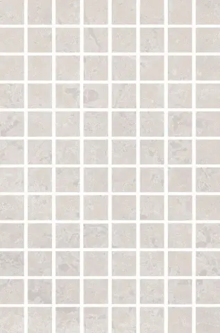 Ферони мозаичный серый светлый матовый 20x30