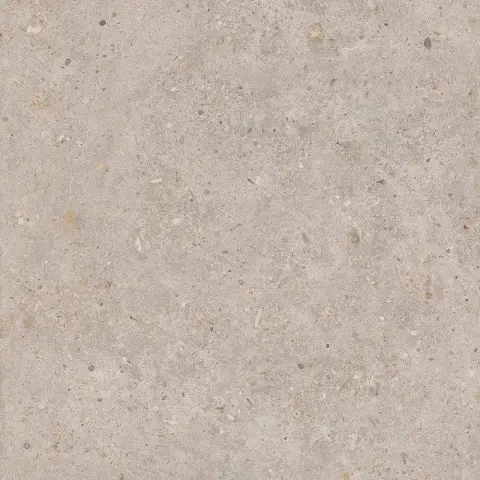 Риккарди бежевый матовый обрезной 60x60