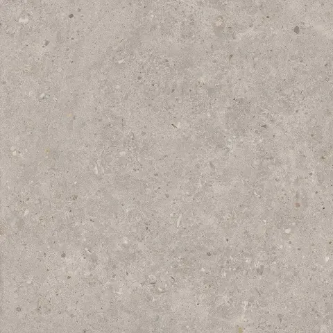 Риккарди серый светлый матовый обрезной 60x60