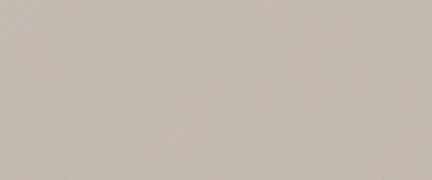 True Color 50x120 Fossil Matt, 50x120