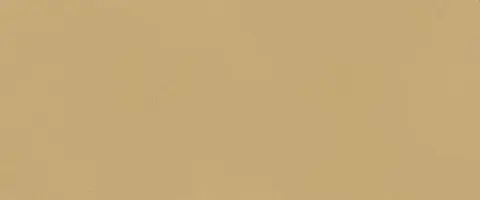 True Color 50x120 Caramel Matt, 50x120