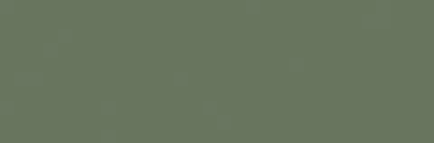 Керамическая плитка Colours Forest 33x100