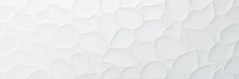 Керамическая плитка Leaf Colours White 33x100