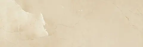 Керамическая плитка Passion R90 Champagne 30x90