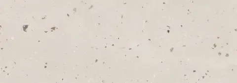 Керамическая плитка Terrazzo Marfil 25.1x70.9
