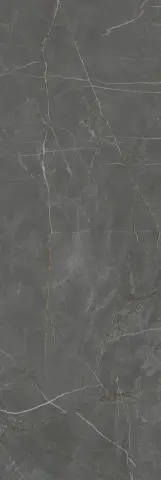Керамическая плитка Буонарроти серый темный обрезной 30x89.5 13098R