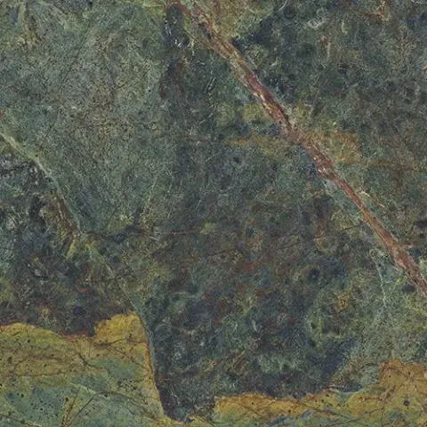Vivid Green Rainforest Pulido 59.55x59.55