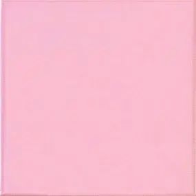 Rosa Brillo 20x20