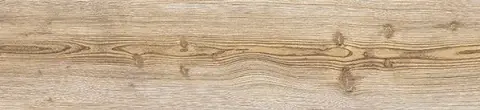 Neila Maple Natural 24.9x100
