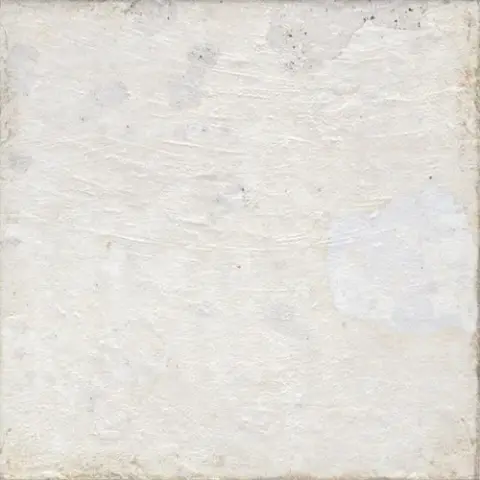 AGED WHITE