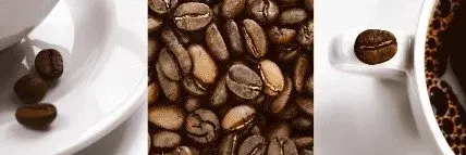 Café Décor B