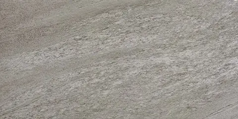 Brave Grey