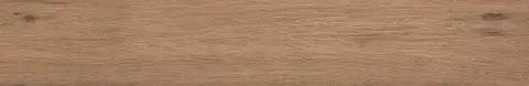 Bark Avana