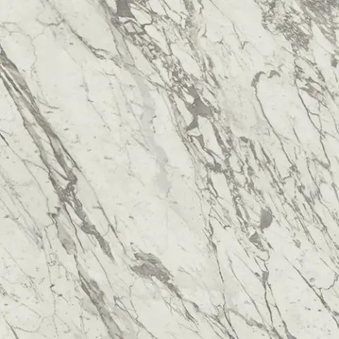 Marvel Statuario Select 120x120 Lappato