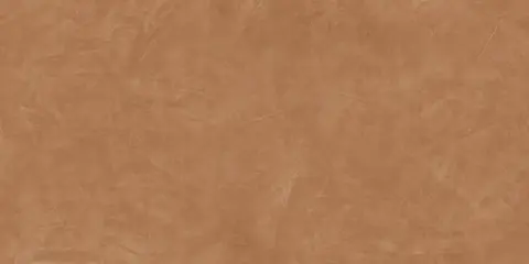 Тезис Сенапе 60X120