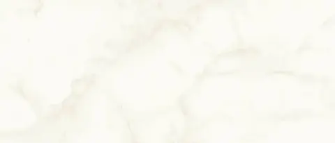 Marvel Calacatta Delicato Silk (A4Tt) 50x120