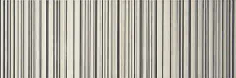 Decor Gris/Perla Code, 25x75
