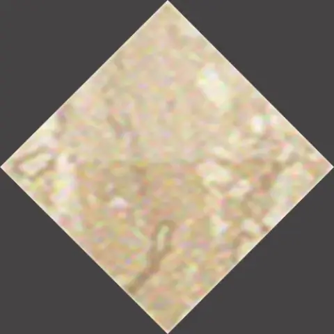 Roma Travertino Ae Spigolo 1x1