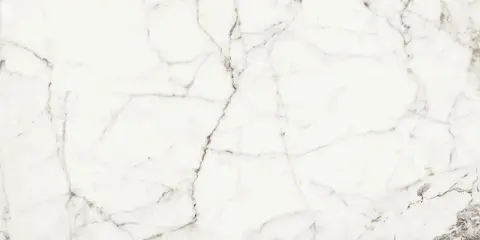 Rhapsody White Fun Lev.Ret.