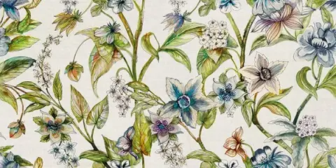 Genus 50x100