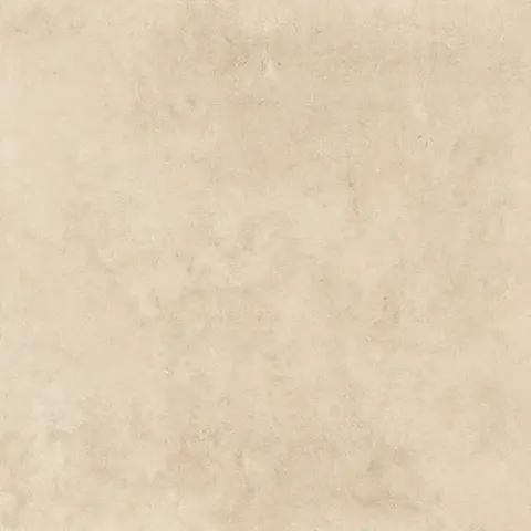 Р.С.Беж 60 Пат 60x60
