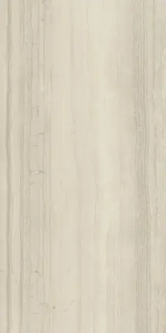 ШАР.ЭДВ.СИЛК ГРЭЙ 60X120 ПАТ