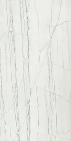 ШАР.ЭДВ.ПЛА.УАЙТ 60X120 ПАТ