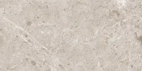 Artic Beige Natural 60x120