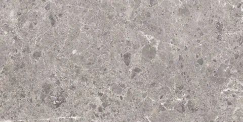 Artic Gris Pulido 59x119