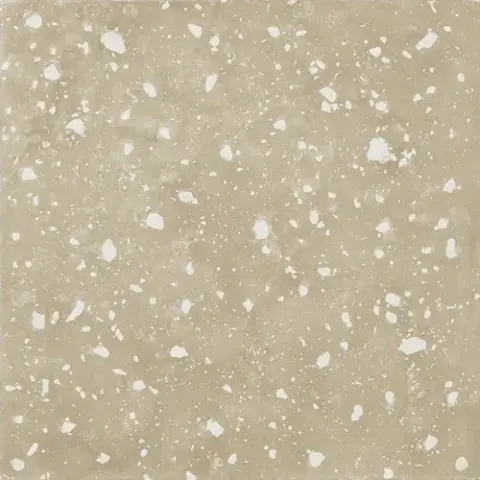 Petri Beige Natural 59.55x59.55