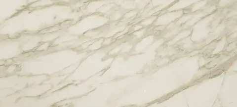 Marvel Royal Calacatta 50x120