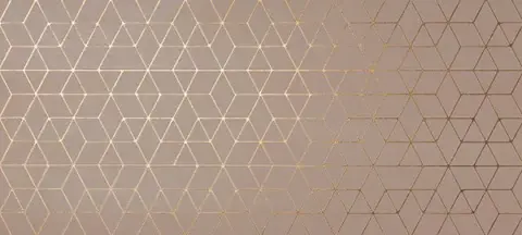 Mek Rose Hexagon