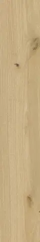 Элемент Фаджио 20x120