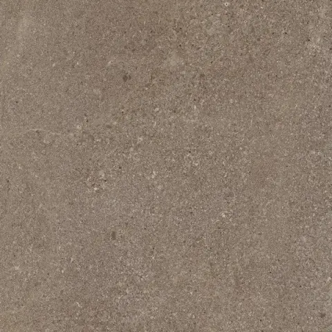Контемпора Берн 60 Лап. Рет. 60x60