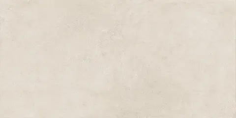ЭТЕРНУМ СНОУ 60X120 РЕТ