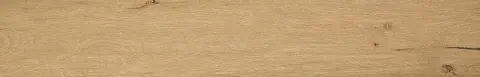 ROOTS 20X120 HONEY MATT R9