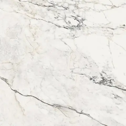 AE PAO6 120 LP