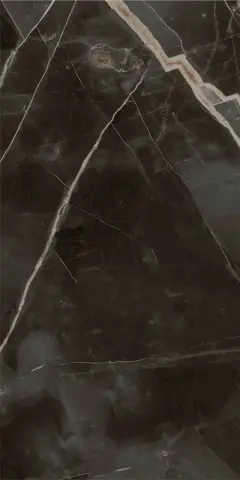 СТЕ.АБС.БЛЭК 60X120 РЕТ