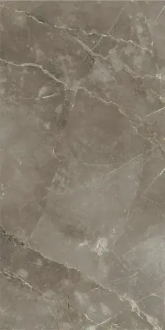 СТЕ.ТУС.ГРЭЙ 60X120 РЕТ