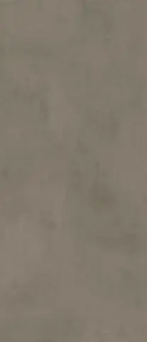 Boost Pro Taupe 120x278