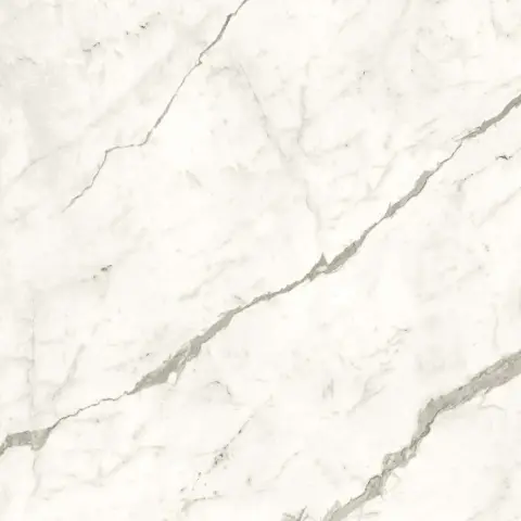 Marvel Statuario Supremo 120x120 Matt
