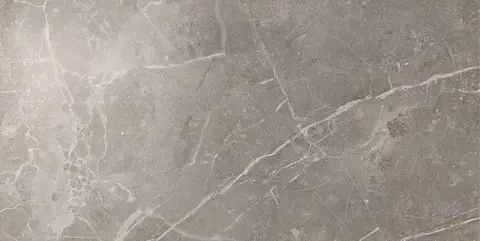Marvel Grey Fleury 30x60 Lapp.