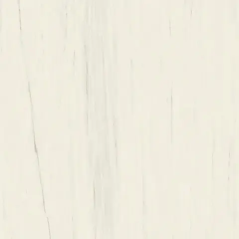 Marvel Bianco Dolomite 160x160RT Lappato