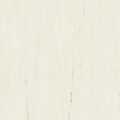 Marvel Bianco Dolomite 120x120