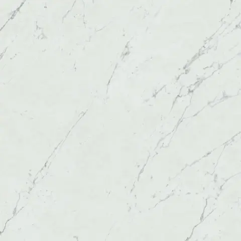 Marvel Carrara Pure 60x60